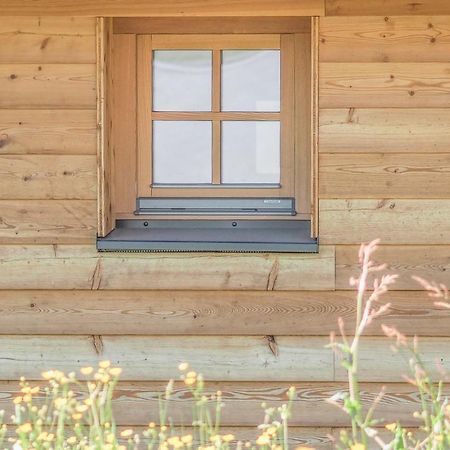 Das Koralpenchalet...Sonne, Wald, Natur! Trahutten Екстериор снимка