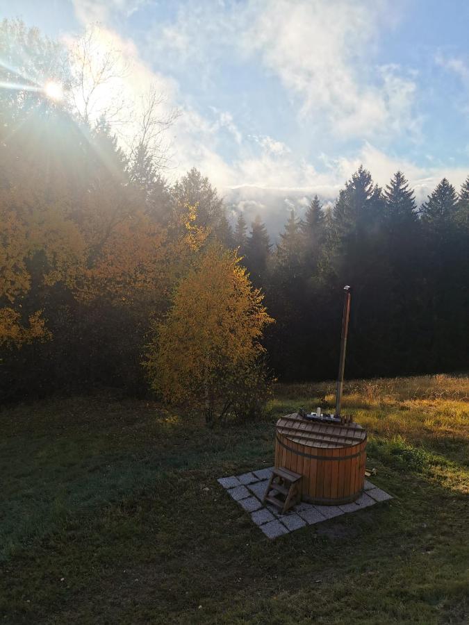 Das Koralpenchalet...Sonne, Wald, Natur! Trahutten Екстериор снимка