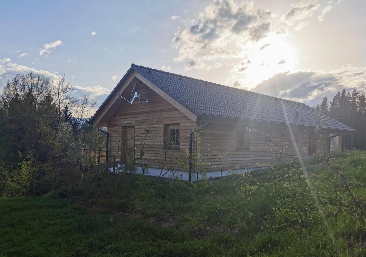 Das Koralpenchalet...Sonne, Wald, Natur! Trahutten Екстериор снимка