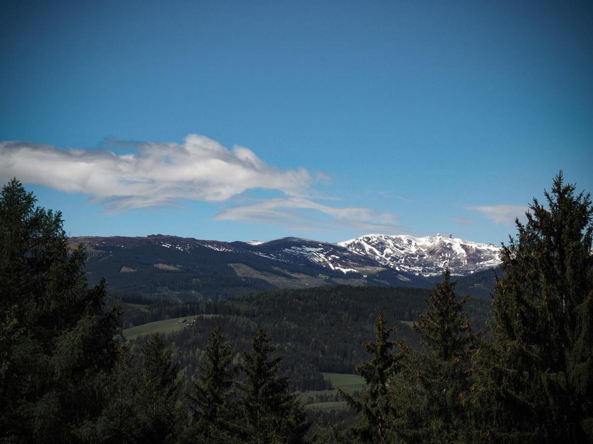 Das Koralpenchalet...Sonne, Wald, Natur! Trahutten Екстериор снимка