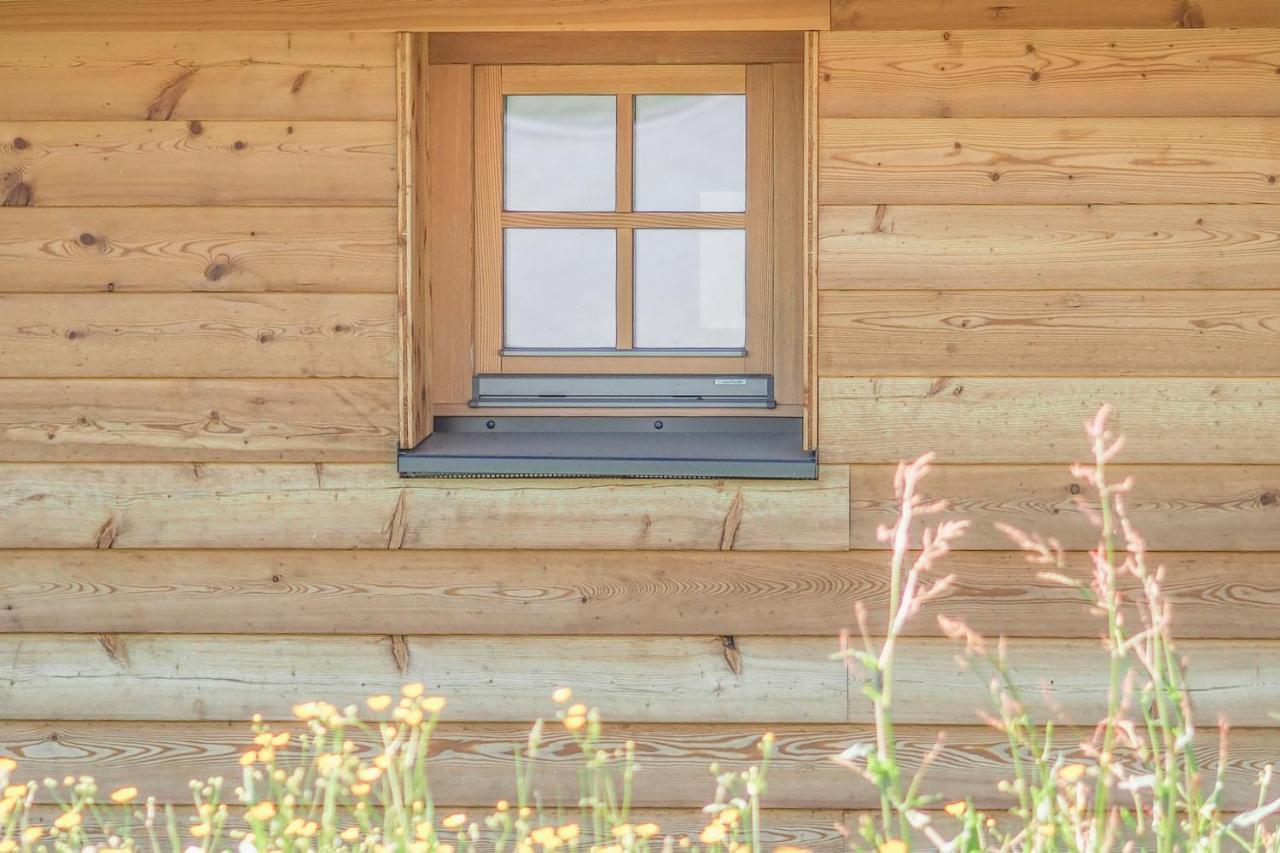 Das Koralpenchalet...Sonne, Wald, Natur! Trahutten Екстериор снимка