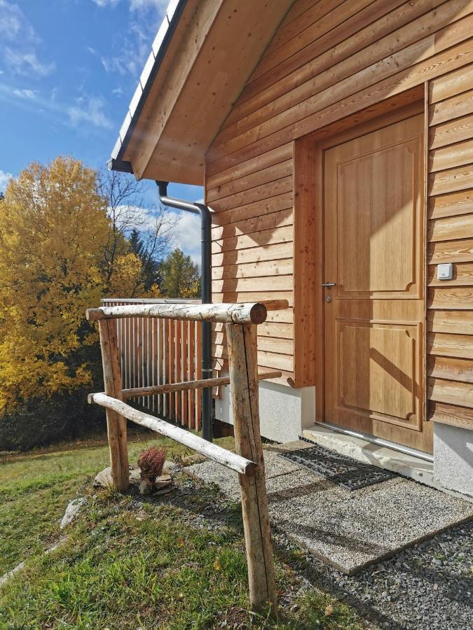 Das Koralpenchalet...Sonne, Wald, Natur! Trahutten Екстериор снимка