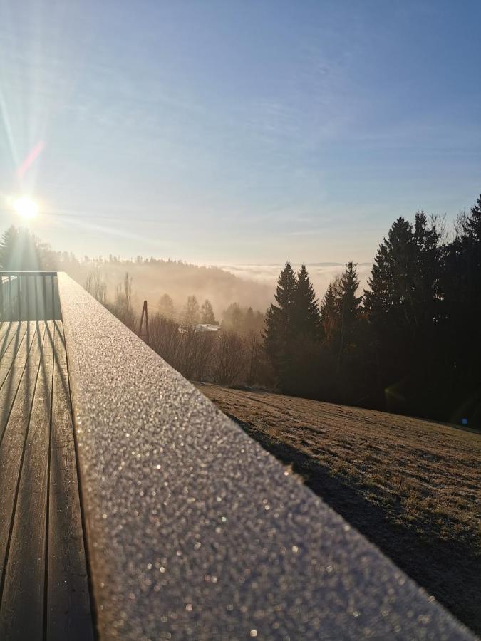 Das Koralpenchalet...Sonne, Wald, Natur! Trahutten Екстериор снимка